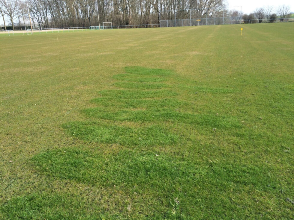 Expertisen - Rasenplan GmbH